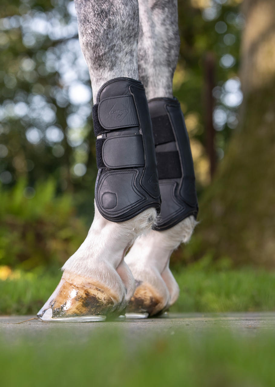 LeMieux Capella Leather Tendon Boots