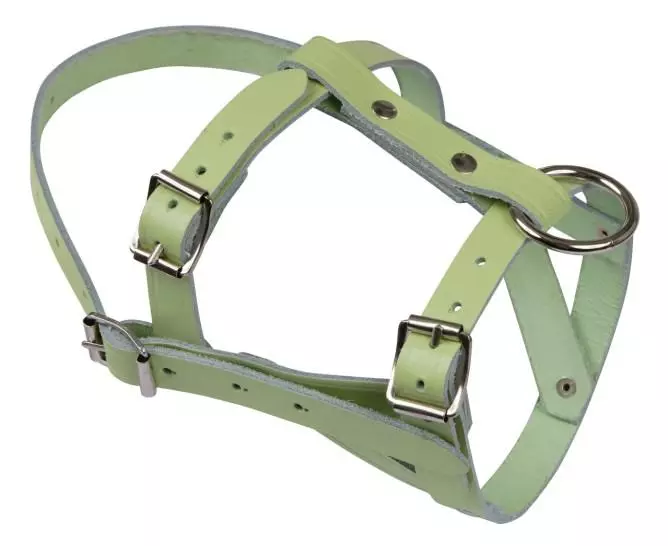 Kerbl Kopfhalfter fr Schafe und Bcke, Leder