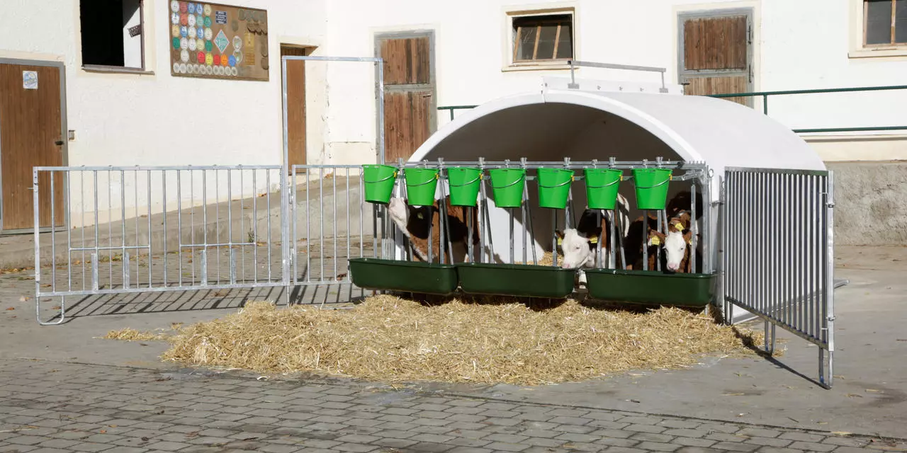Kerbl Umzäunung für CalfHouse Premium XXL