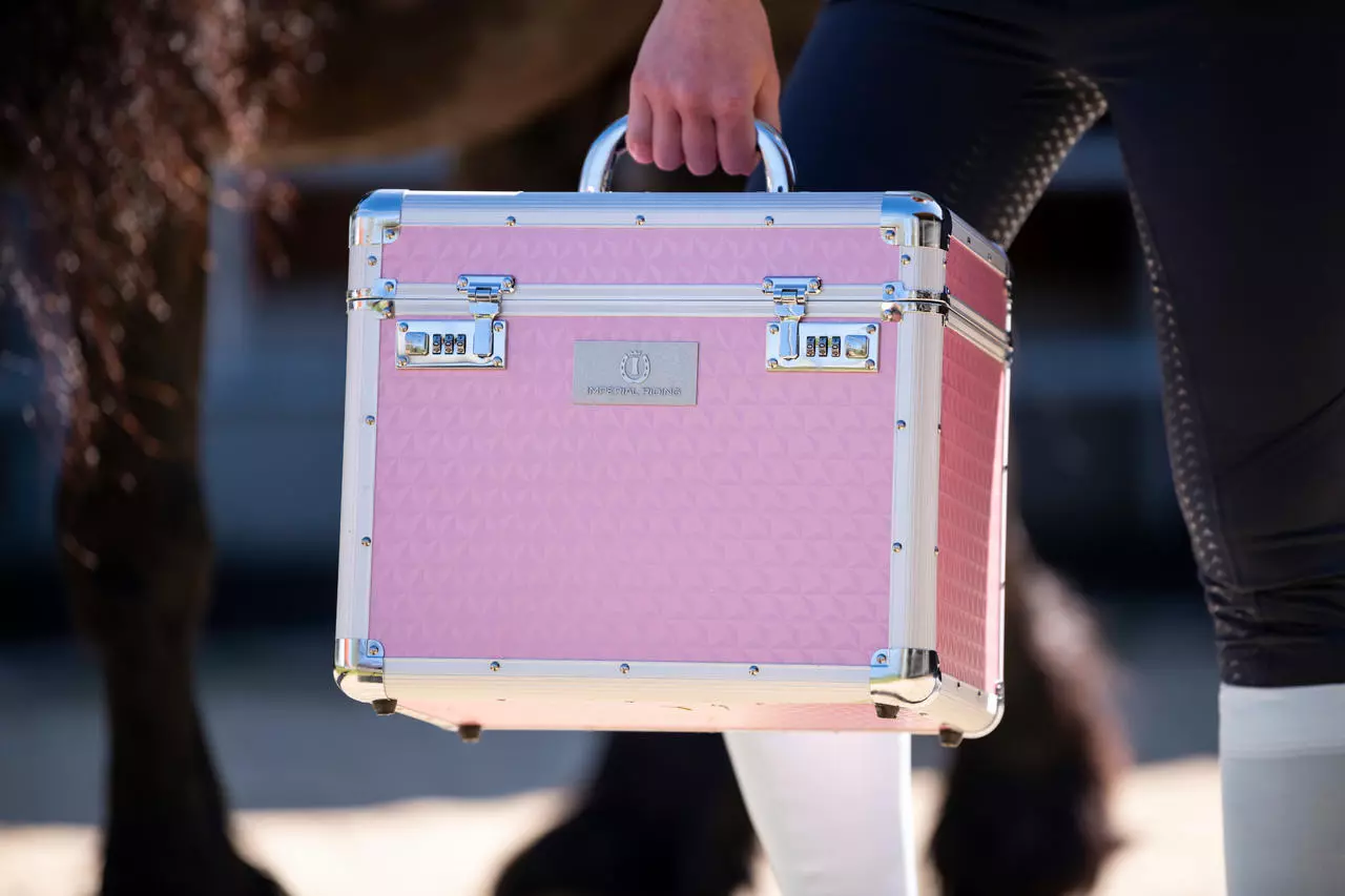 Putzbox IRH Shiny