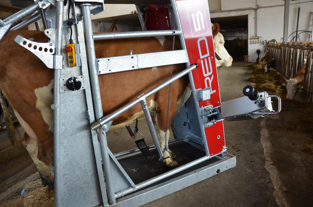 Rosensteiner Klauenpflegestand - RED 5 PROFESSIONAL