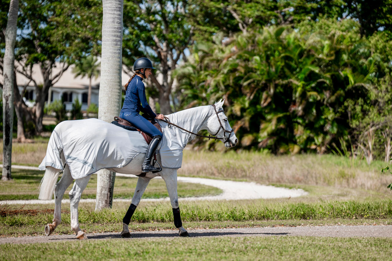 Horseware Amigo Flyrider