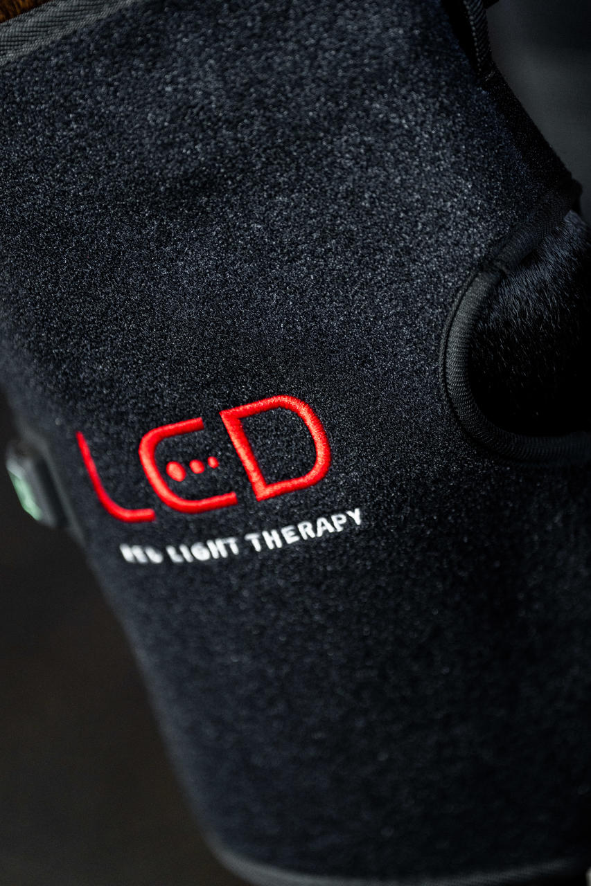 Horseware LED Red Light Therapy Hock Boot