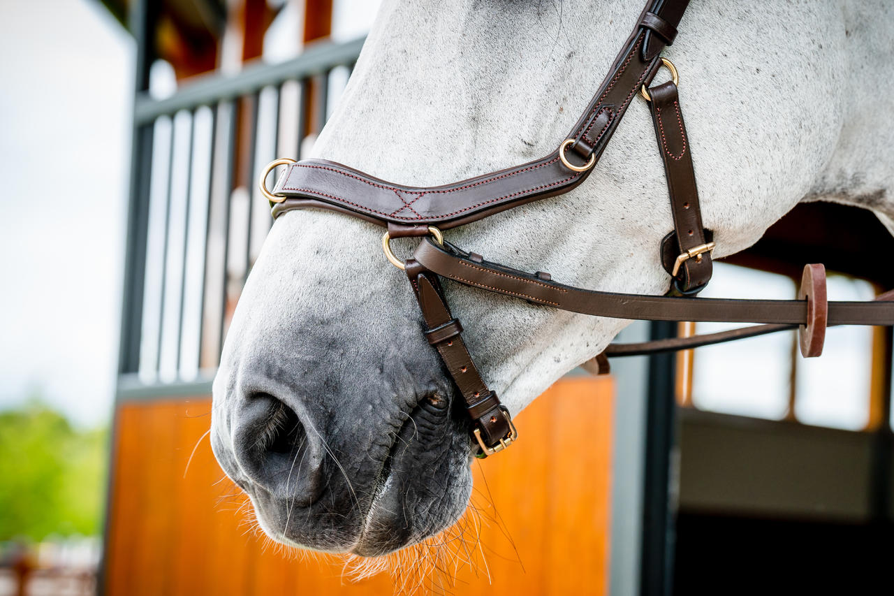 Horseware Micklem 2 Multi Bridle