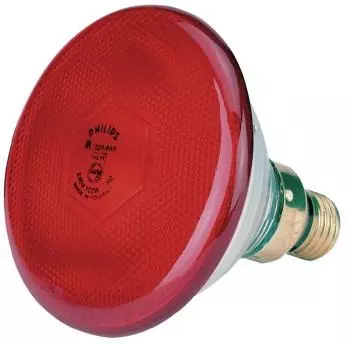 Philips Infrarot-Sparlampe, rot, 100 Watt Philips Infrarot-Sparlampe, rot, 100 Watt