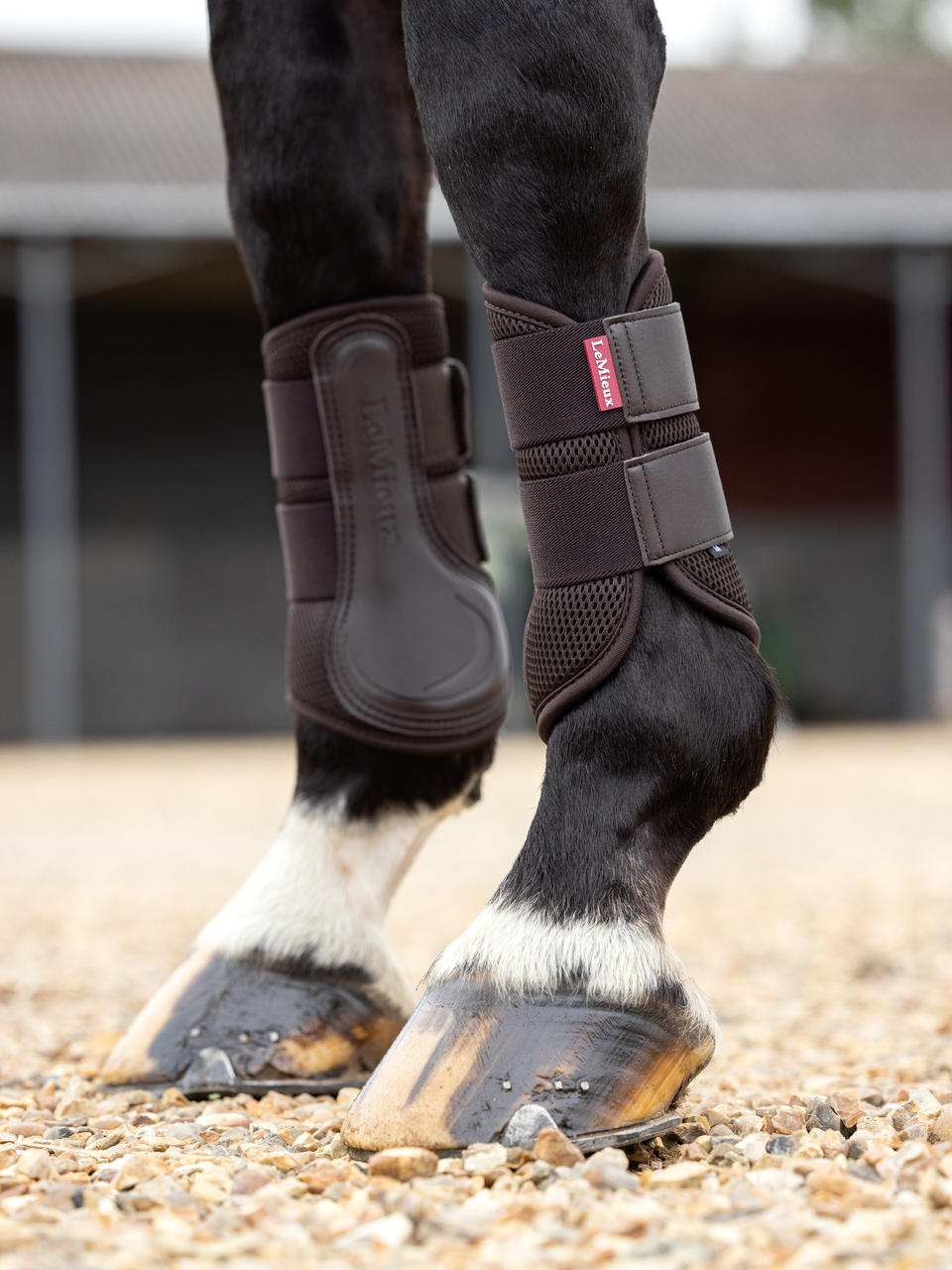 LeMieux Mesh Brushing Boot