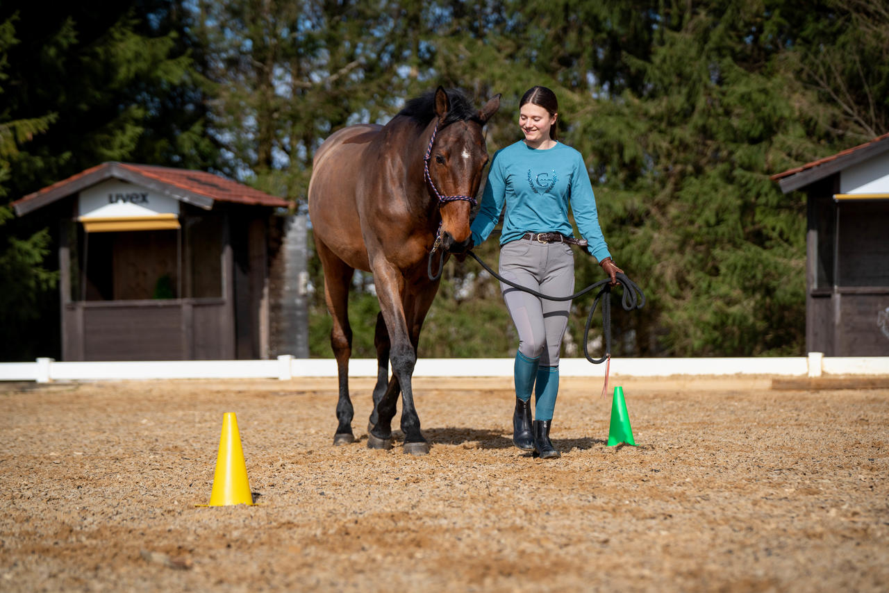 Hippotonic Trainingskegel