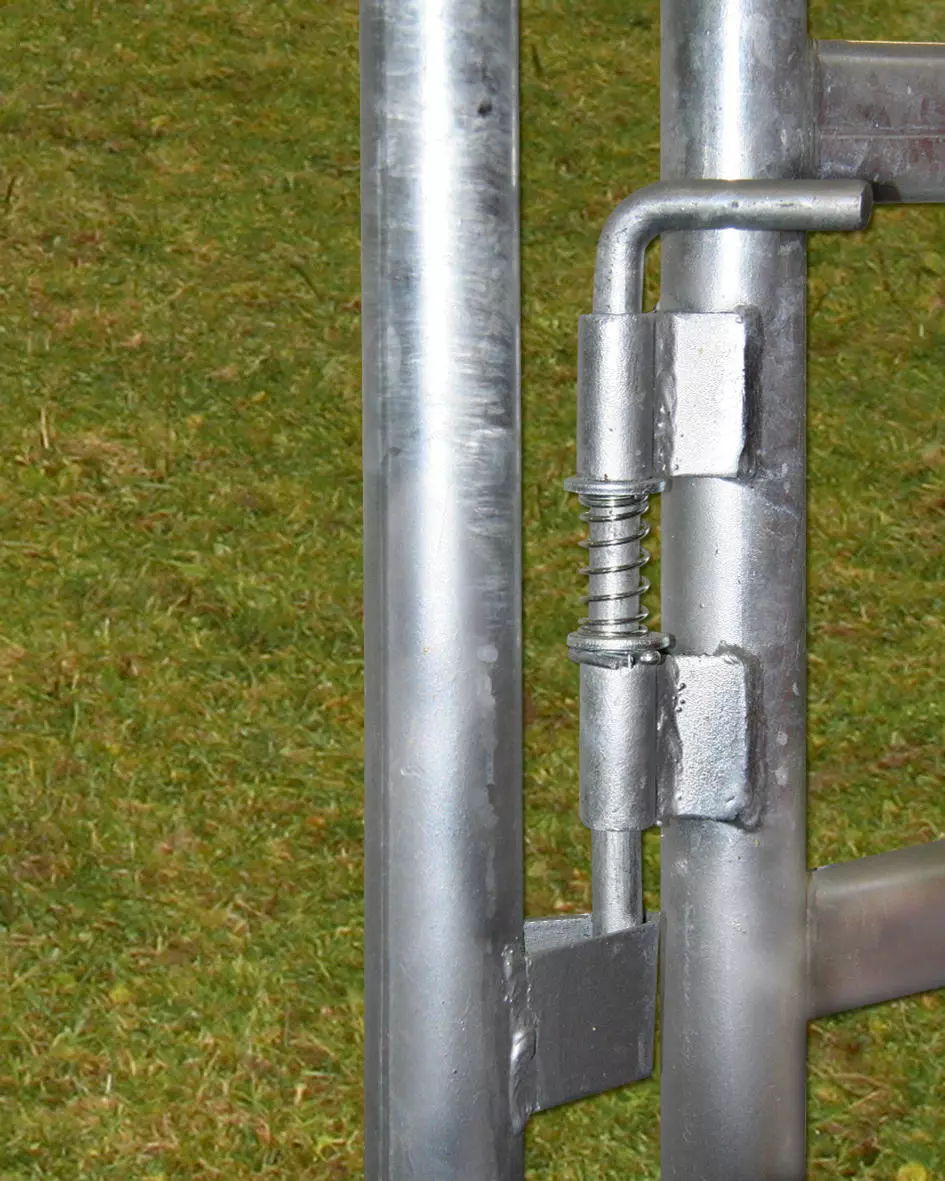 WAHL-FENCE Panel mit Tor 3 x 2,2 m Standard (LxH)