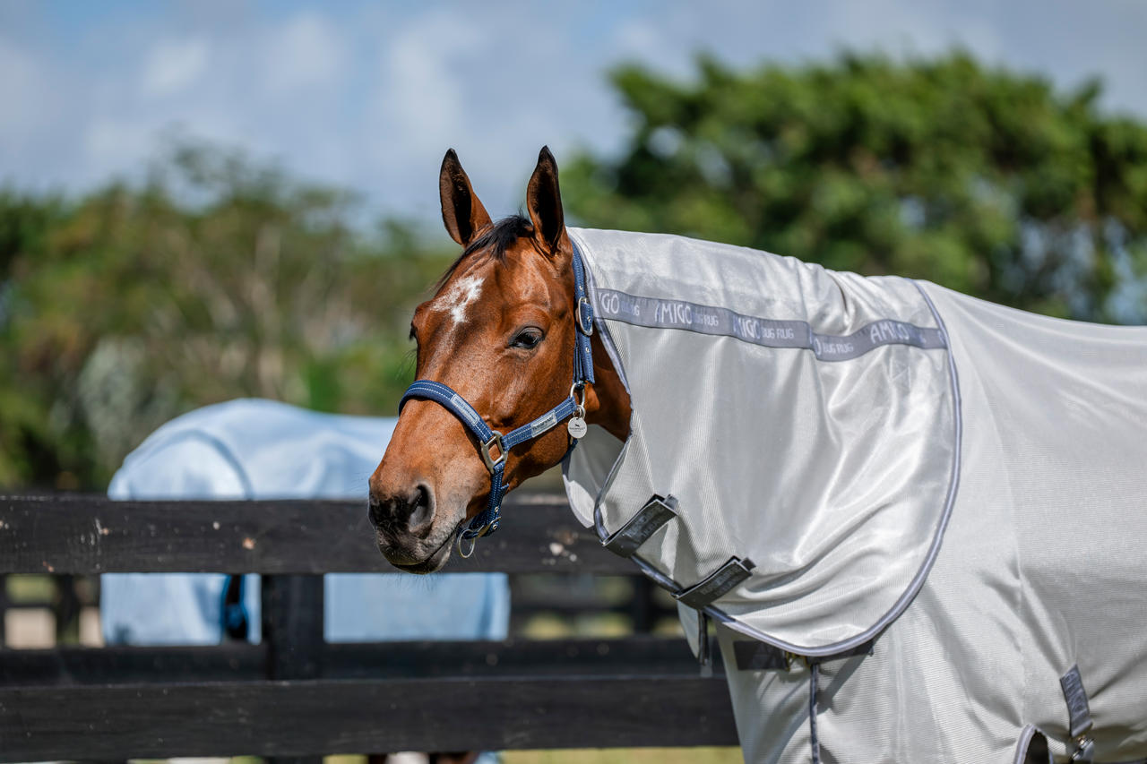 Horseware Amigo Bug Rug XL Plus