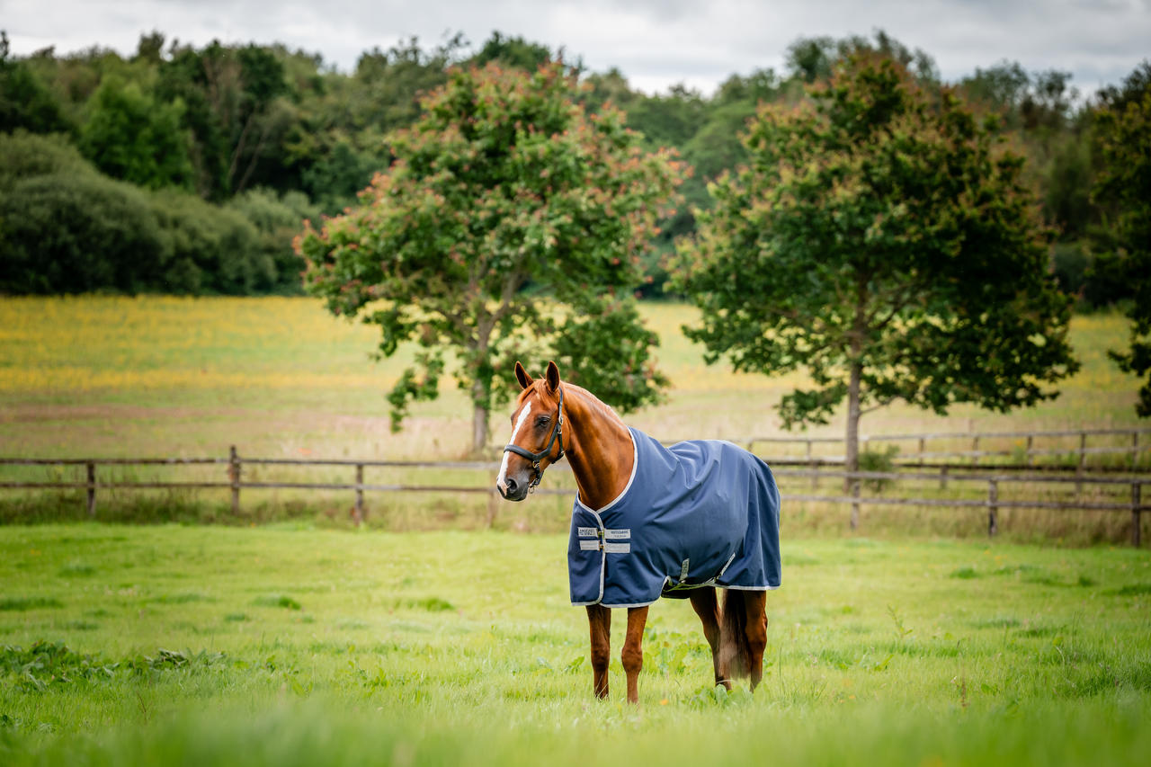 Horseware Amigo Ripstop 900D Turnout 100g
