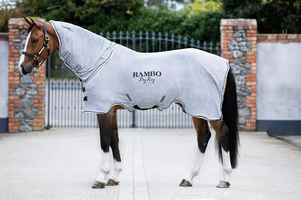 Horseware Rambo Dry Rug