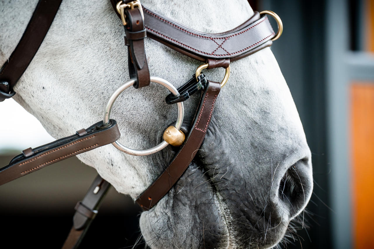 Horseware Micklem 2 Multi Bridle
