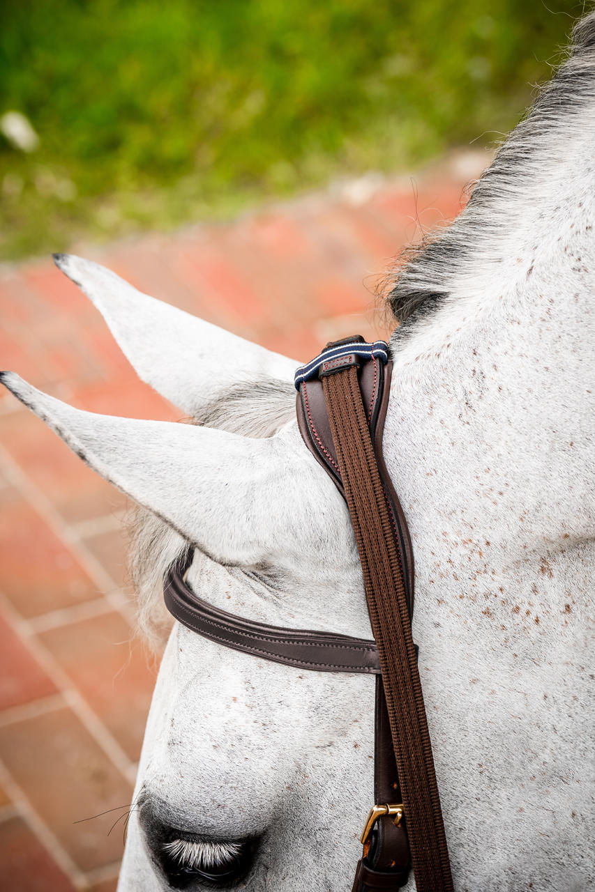 Horseware Micklem 2 Multi Bridle