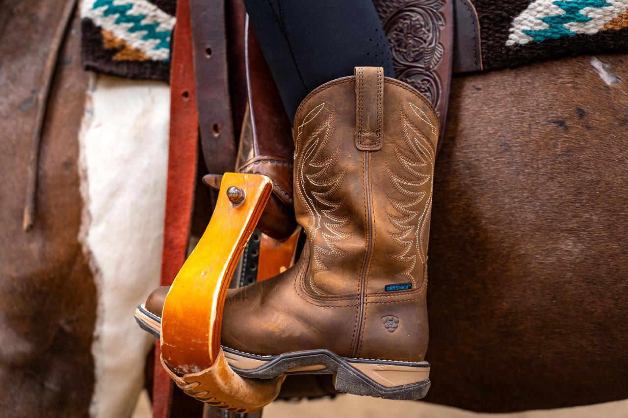 ARIAT Anthem H2O