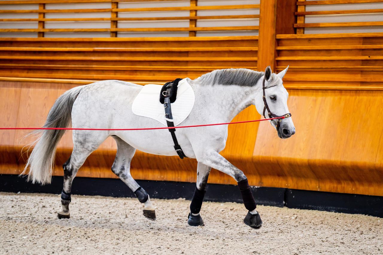 Horseware Micklem 2 Multi Bridle