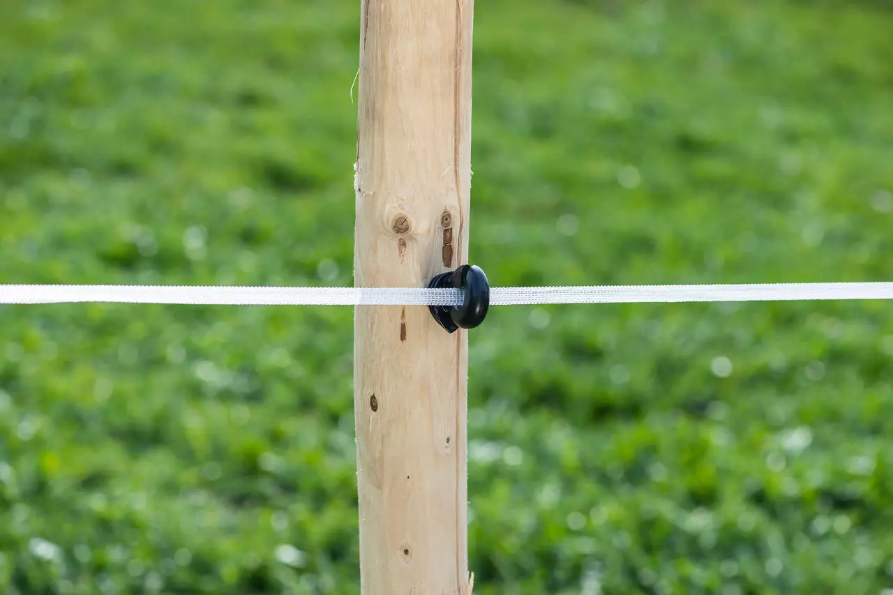 WAHL-FENCE Weidezaunband BASIC weiß - 10 mm/200 m