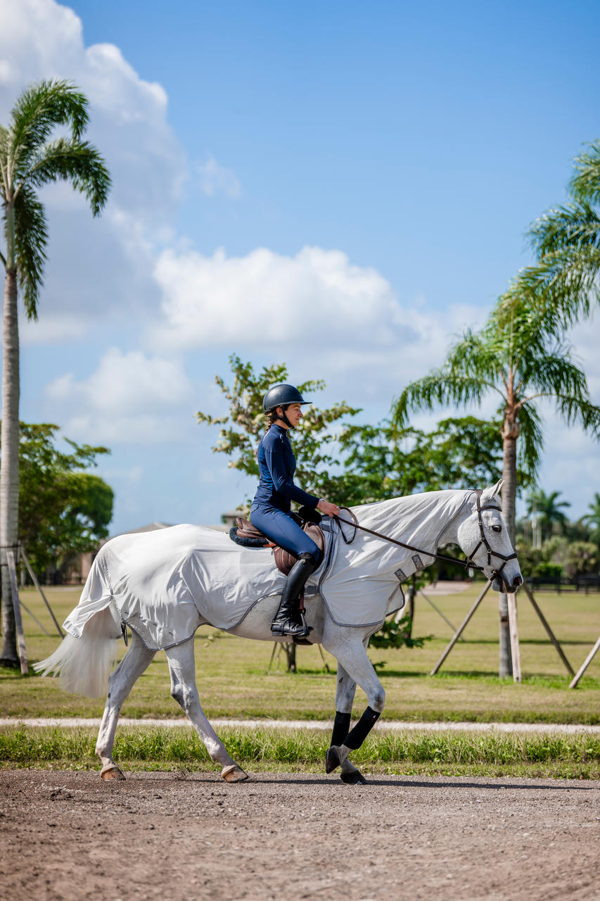 Horseware Amigo Flyrider