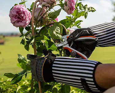 Gartenbedarf Gartenbedarf