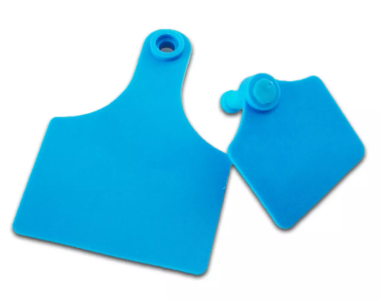 Caisley PRIMAFLEX - Gr.3 neutral 90x62mm Caisley PRIMAFLEX - Gr.3 neutral 90x62mm