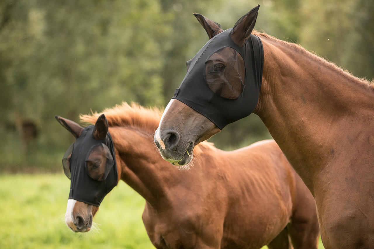 LAMI-CELL Lycra Fliegenmaske