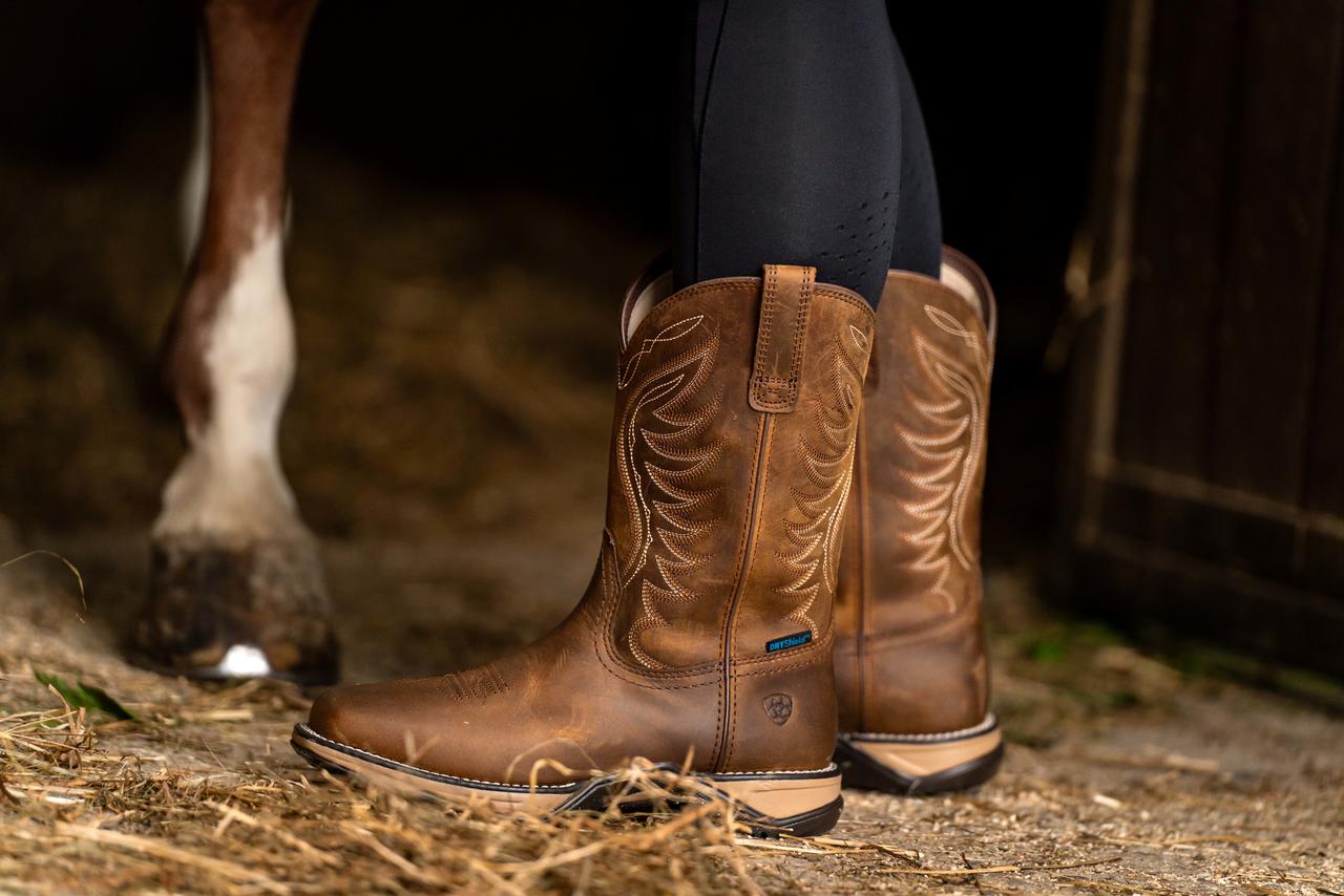 ARIAT Anthem H2O