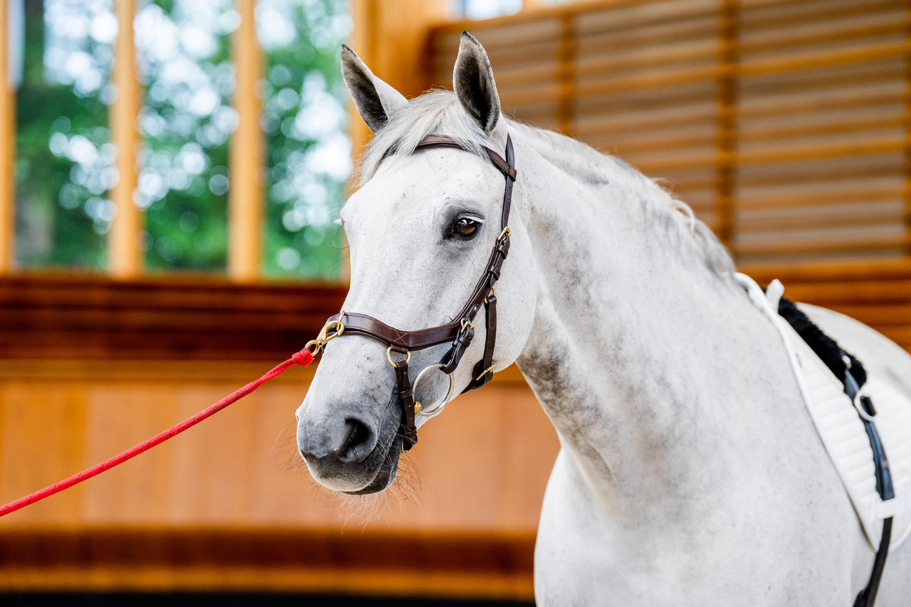Horseware Micklem 2 Multi Bridle