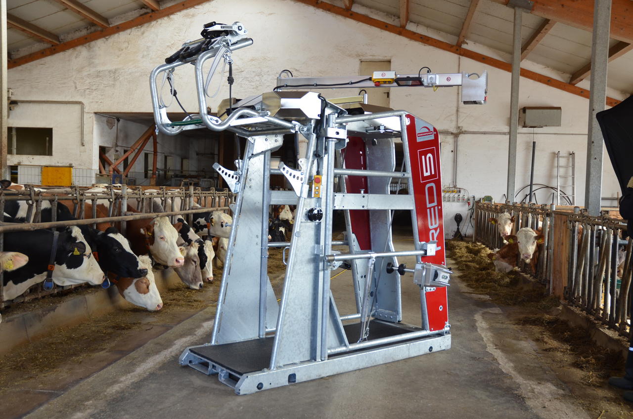 Rosensteiner Klauenpflegestand - RED 5 PROFESSIONAL
