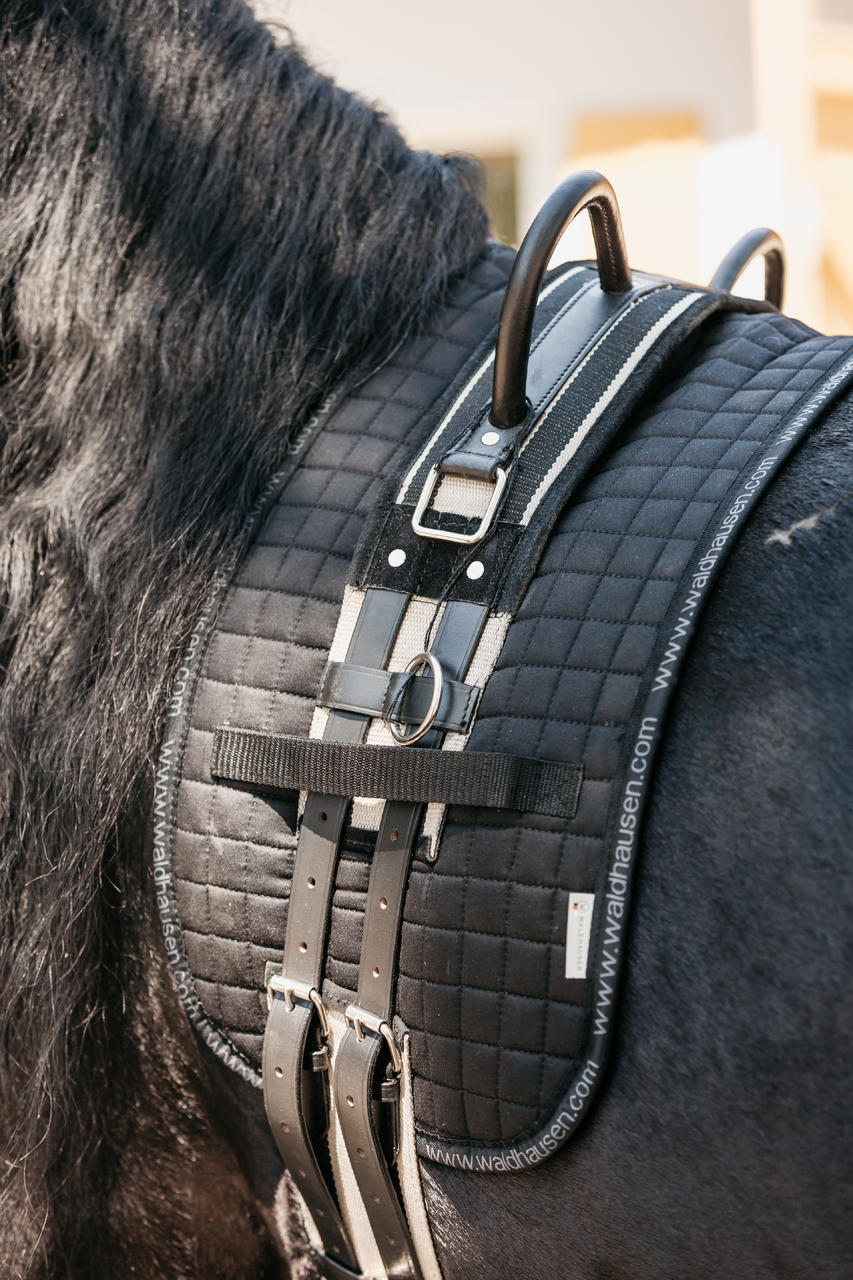 Busse Longiergurt Double