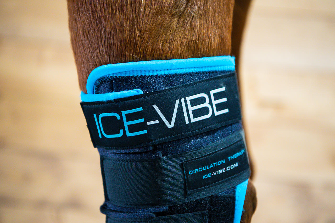 Horseware Ice-Vibe® Hock Wrap