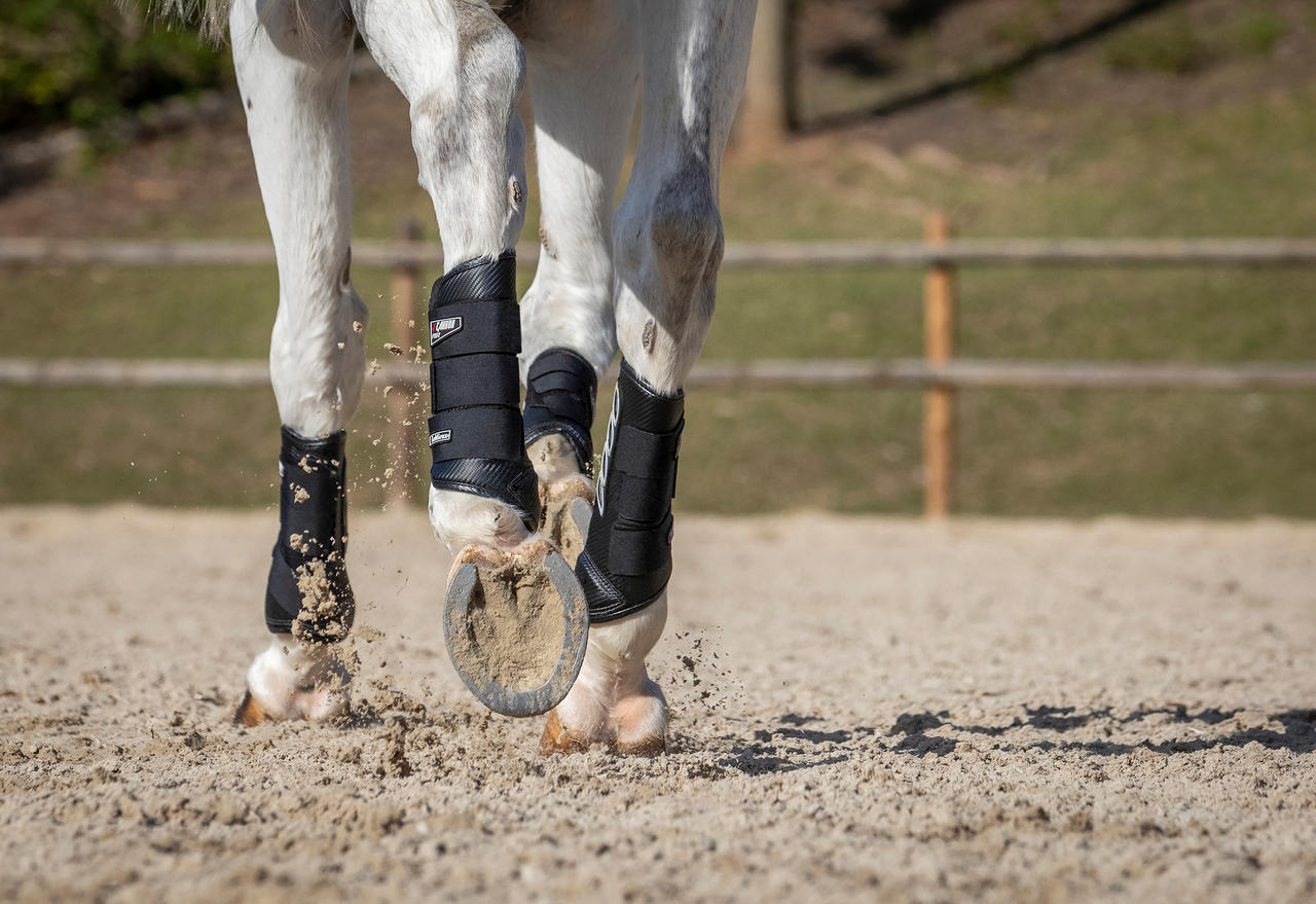 LeMieux Carbon Air XC Boots Hind