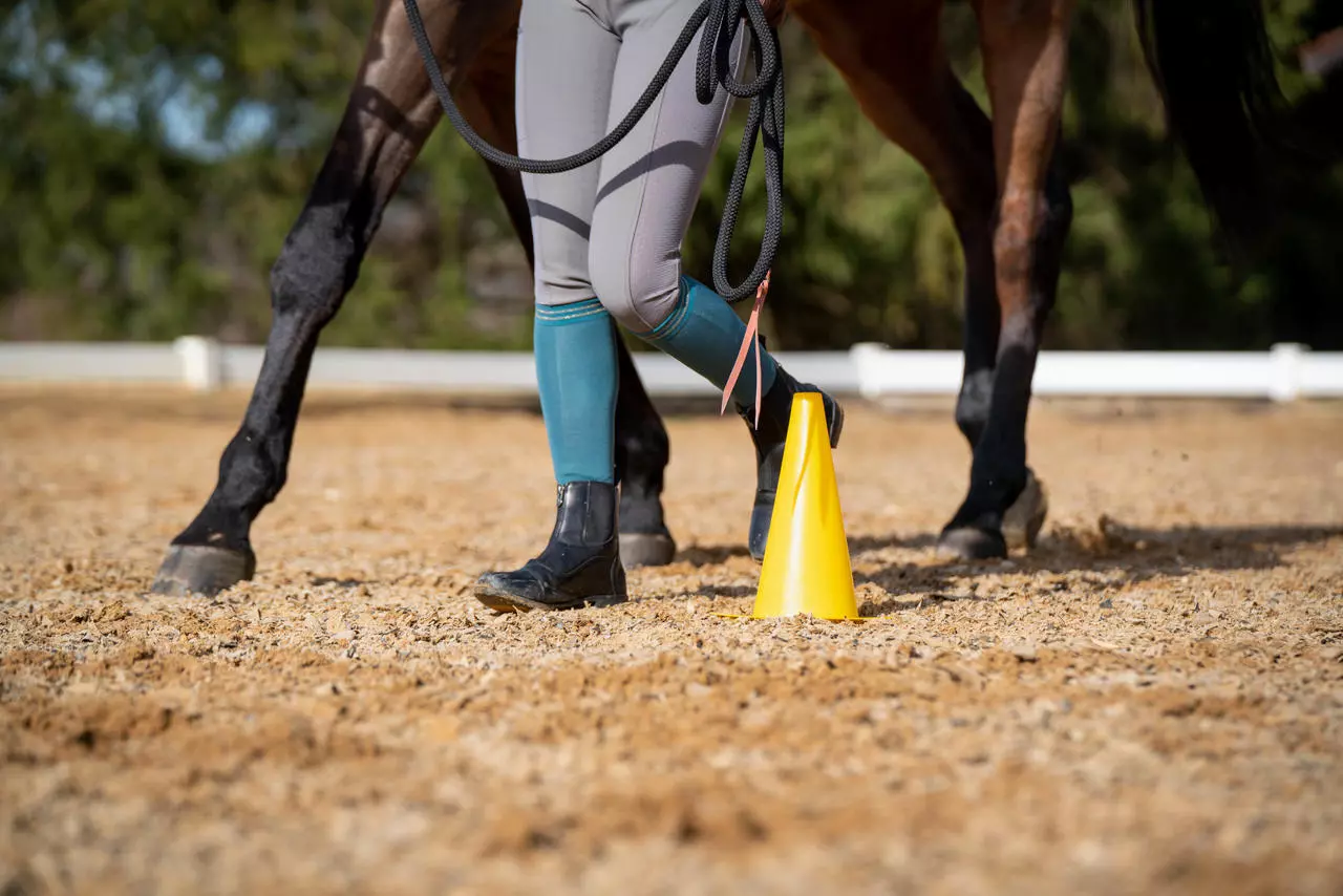 Hippotonic Trainingskegel