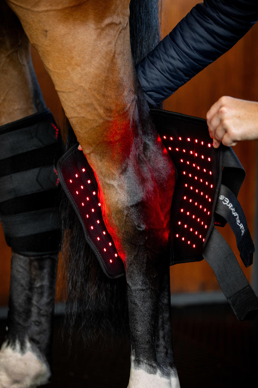Horseware LED Red Light Therapy Hock Boot
