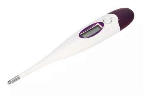 Kerbl Fieberthermometer digital schnellmessend Kerbl Fieberthermometer digital schnellmessend