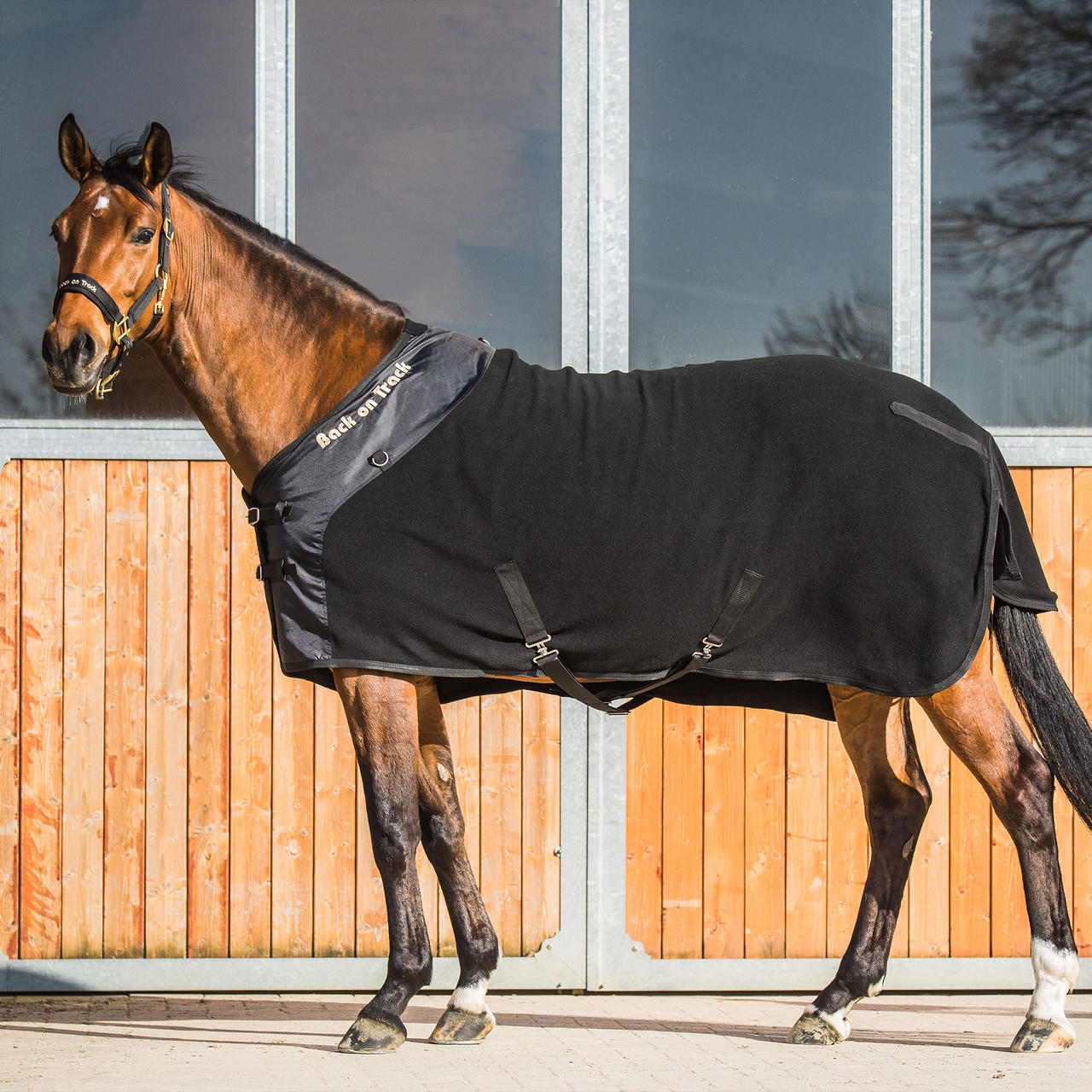 Back on Track Fleecedecke Supreme mit D-Ringen