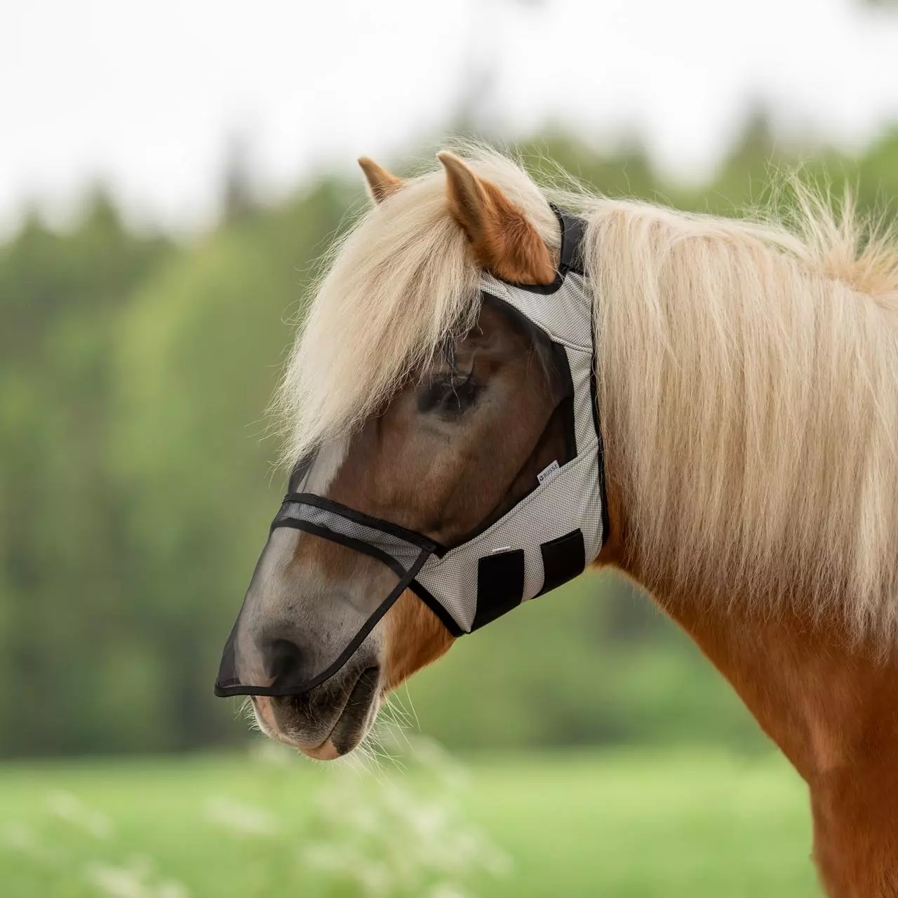 Busse Fliegenmaske FLY GUARD FREE PLUS Busse Fliegenmaske FLY GUARD FREE PLUS