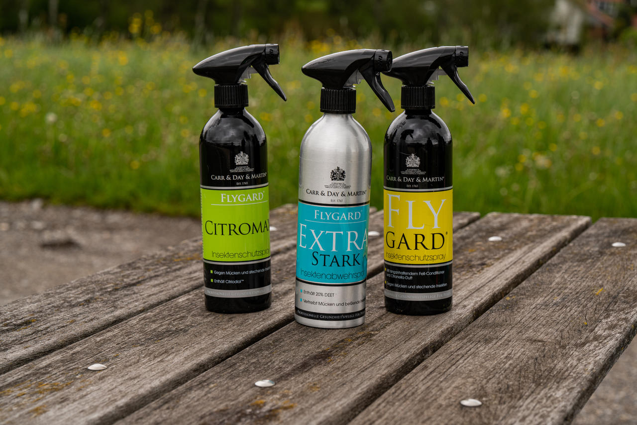 Carr & Day & Martin Flygard Extra Strength