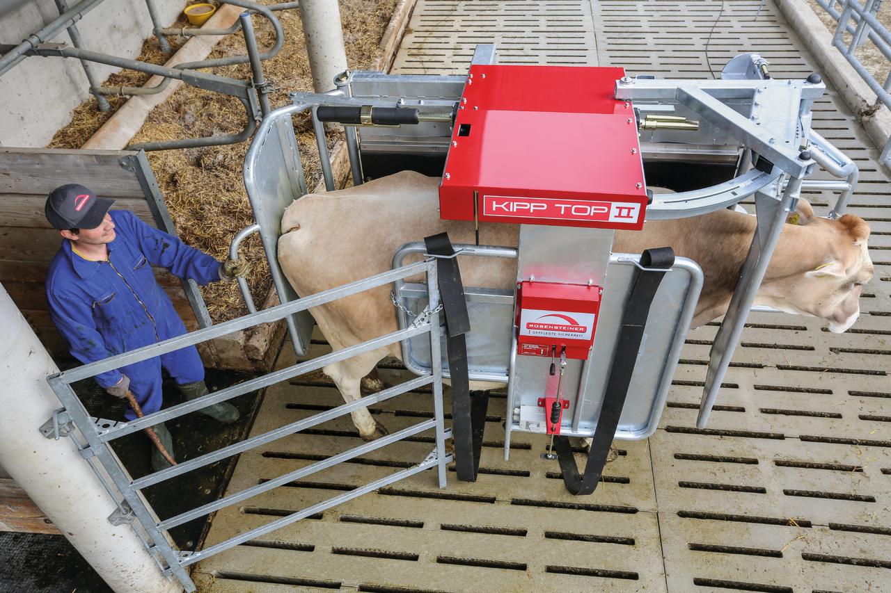 Rosensteiner Klauenpflegestand - KIPP TOP II Basic