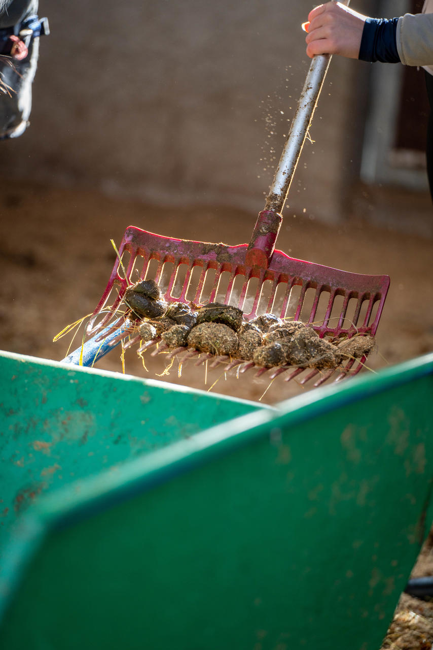 Hofman Animal Care Dunggabel unverwüstlich