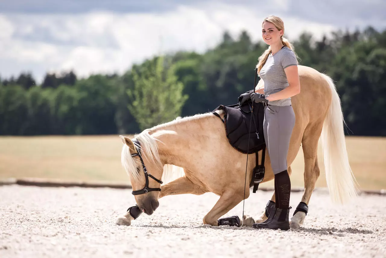 Suedwind Stiefelette Ultima FZ