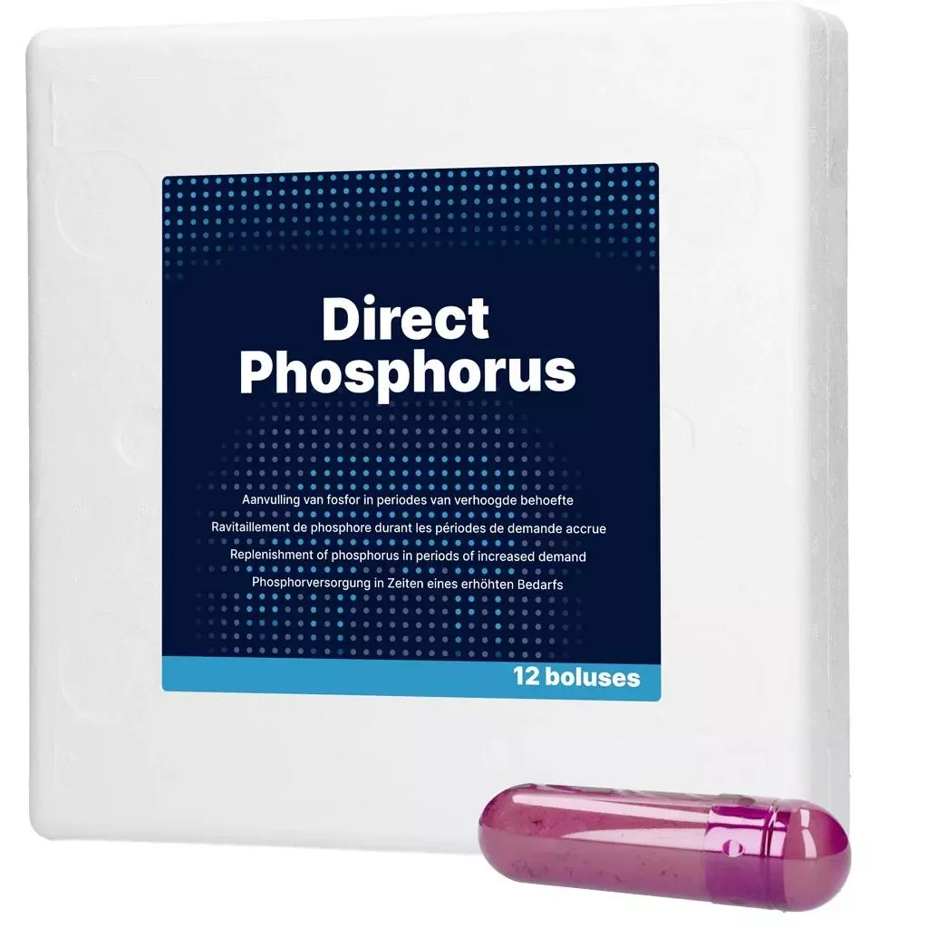 Hofman Animal Care Direct Phosphorus – 12 Boli à 123 g Hofman Animal Care Direct Phosphorus – 12 Boli à 123 g