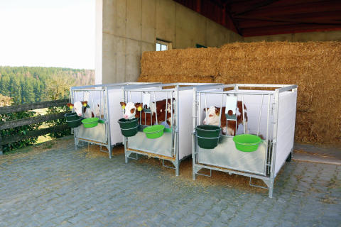 Kerbl Kälberbox groß