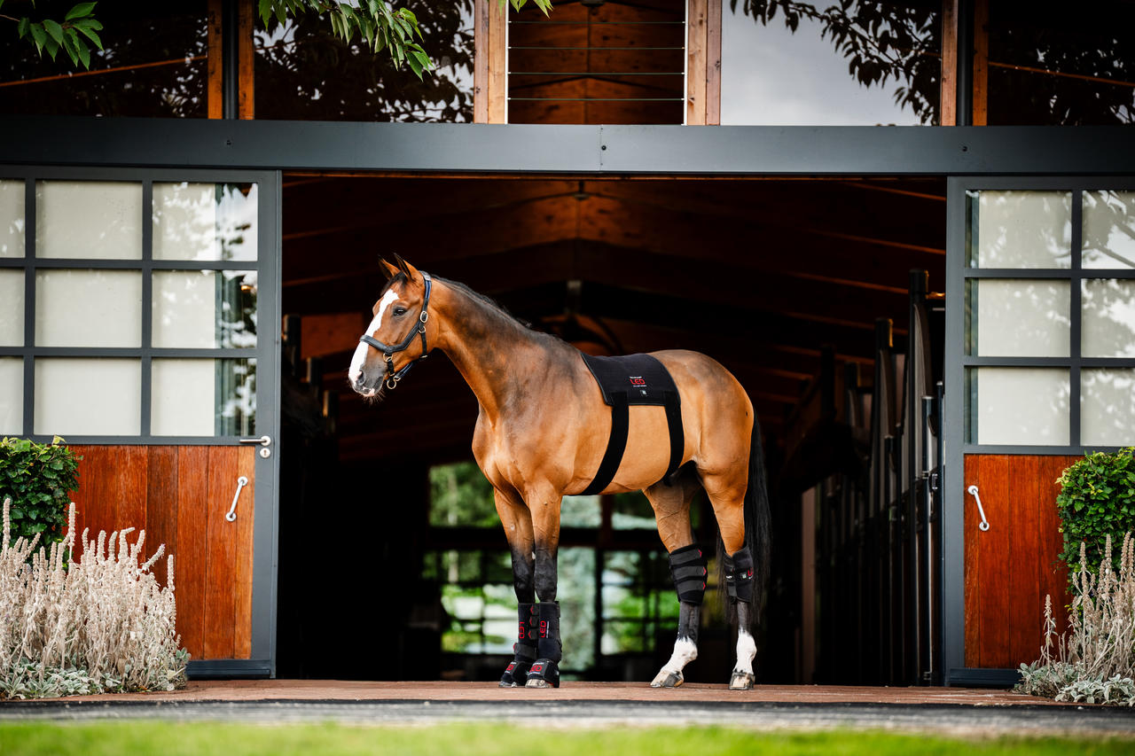 Horseware LED Red Light Therapy Hock Boot