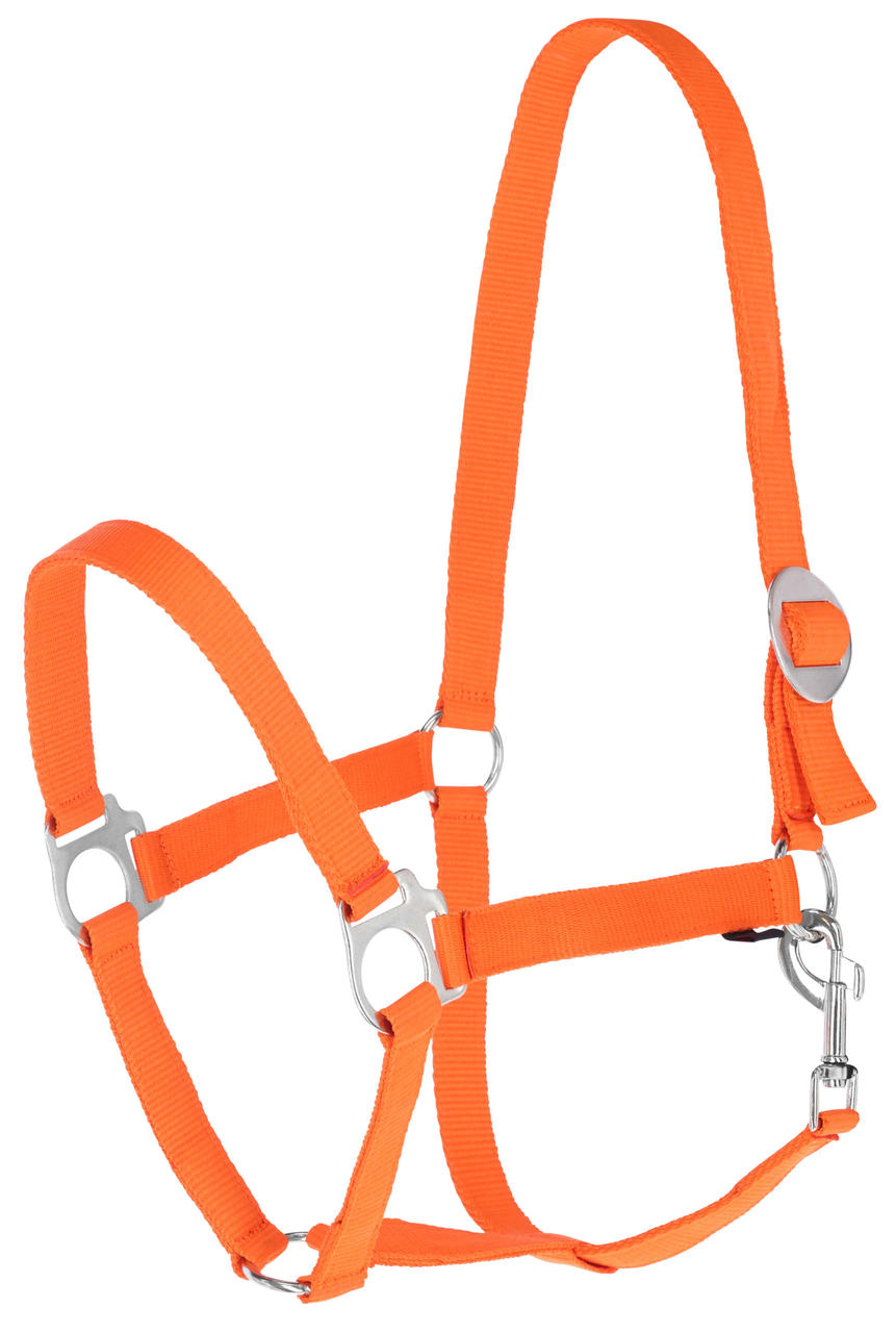 Kerbl TopMarker Viehzeichenstift – Orange, Schnell Trocknend, Für Rinder, Schafe, Schweine