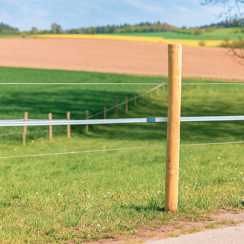 AKO Robinien-Eckpfahl, rund, 250cm AKO Robinien-Eckpfahl, rund, 250cm