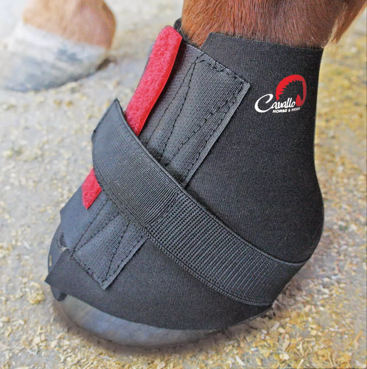 Cavallo Pastern Wrap Bandage Neopren Cavallo Pastern Wrap Bandage Neopren