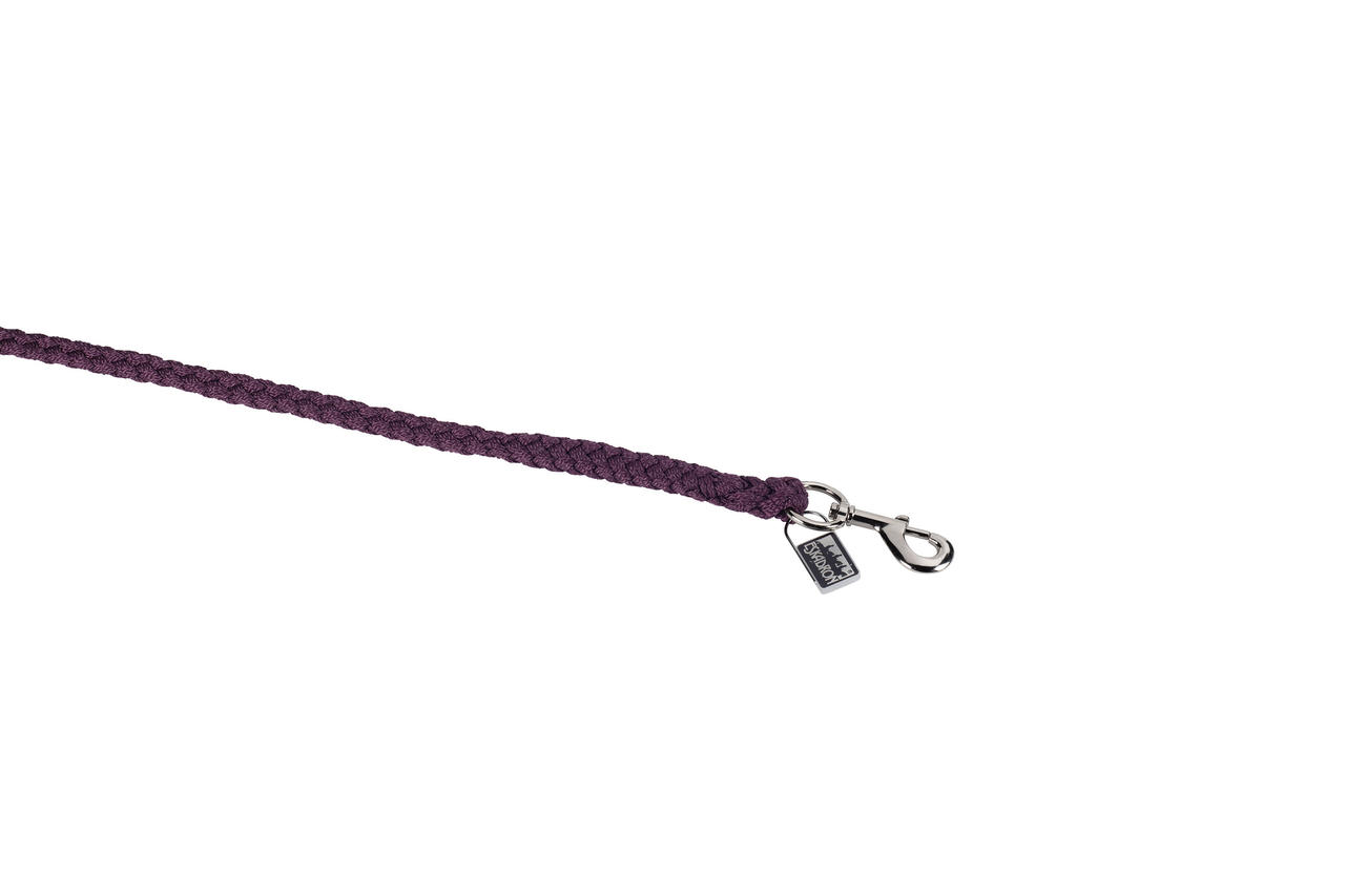Eskadron Führstrick mit Karabiner silber