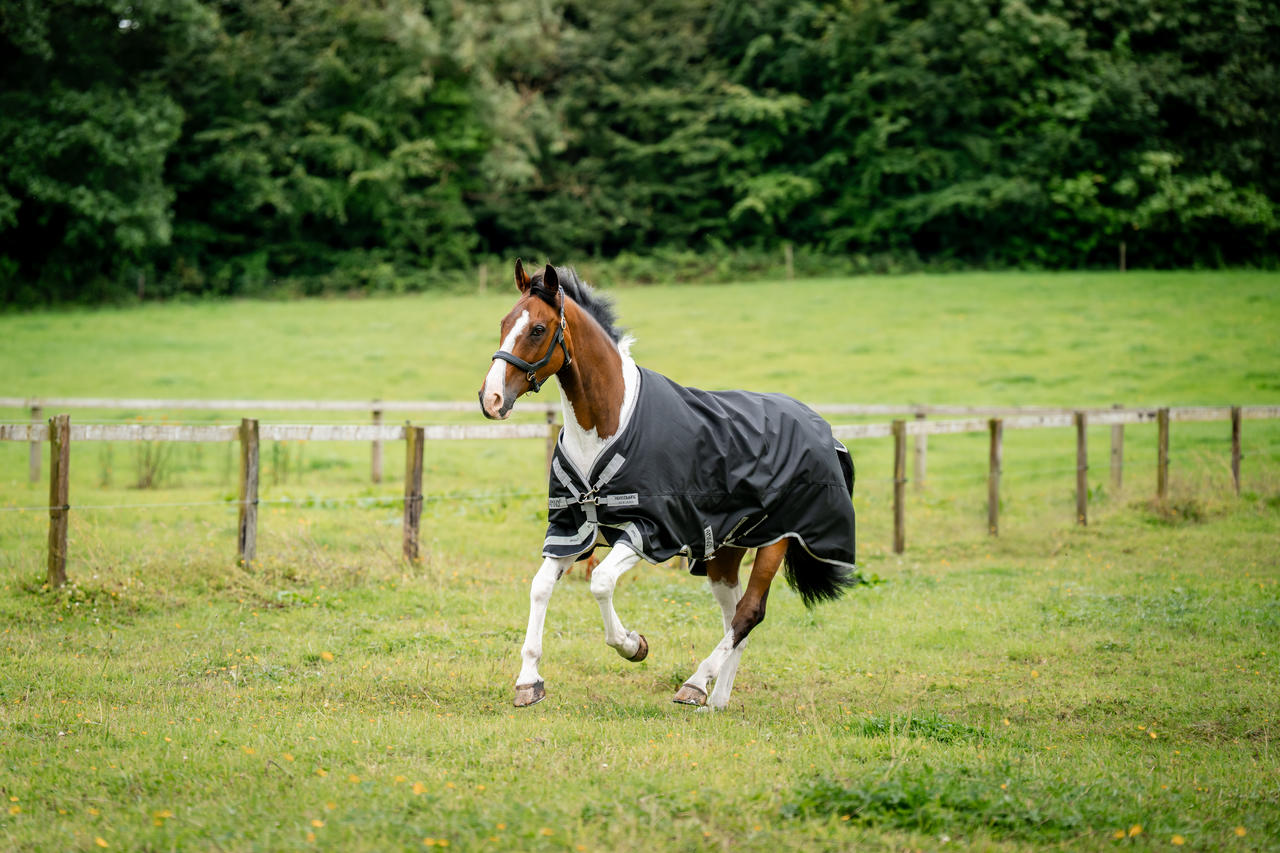 Horseware Amigo 1200D XL Turnout 50g