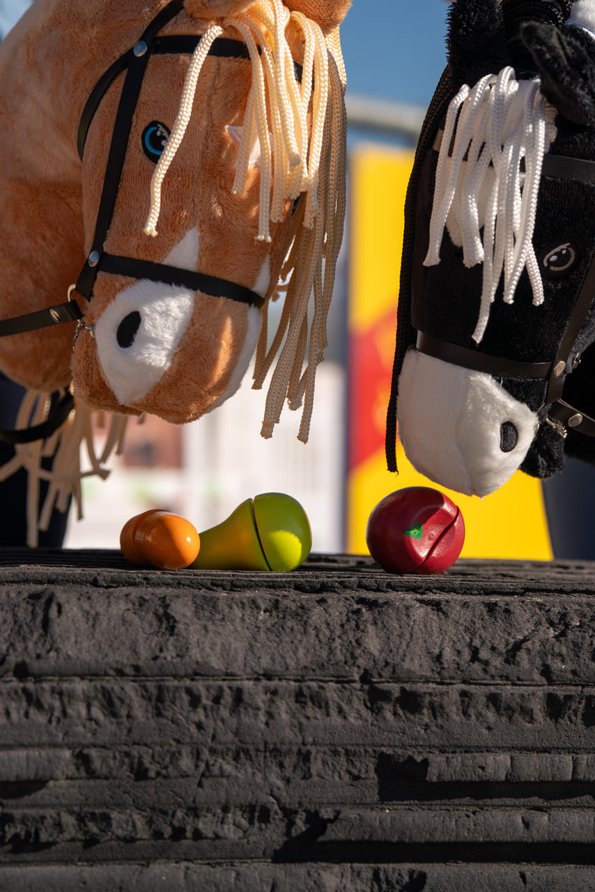 HKM Futter aus Holz - Hobby Horsing