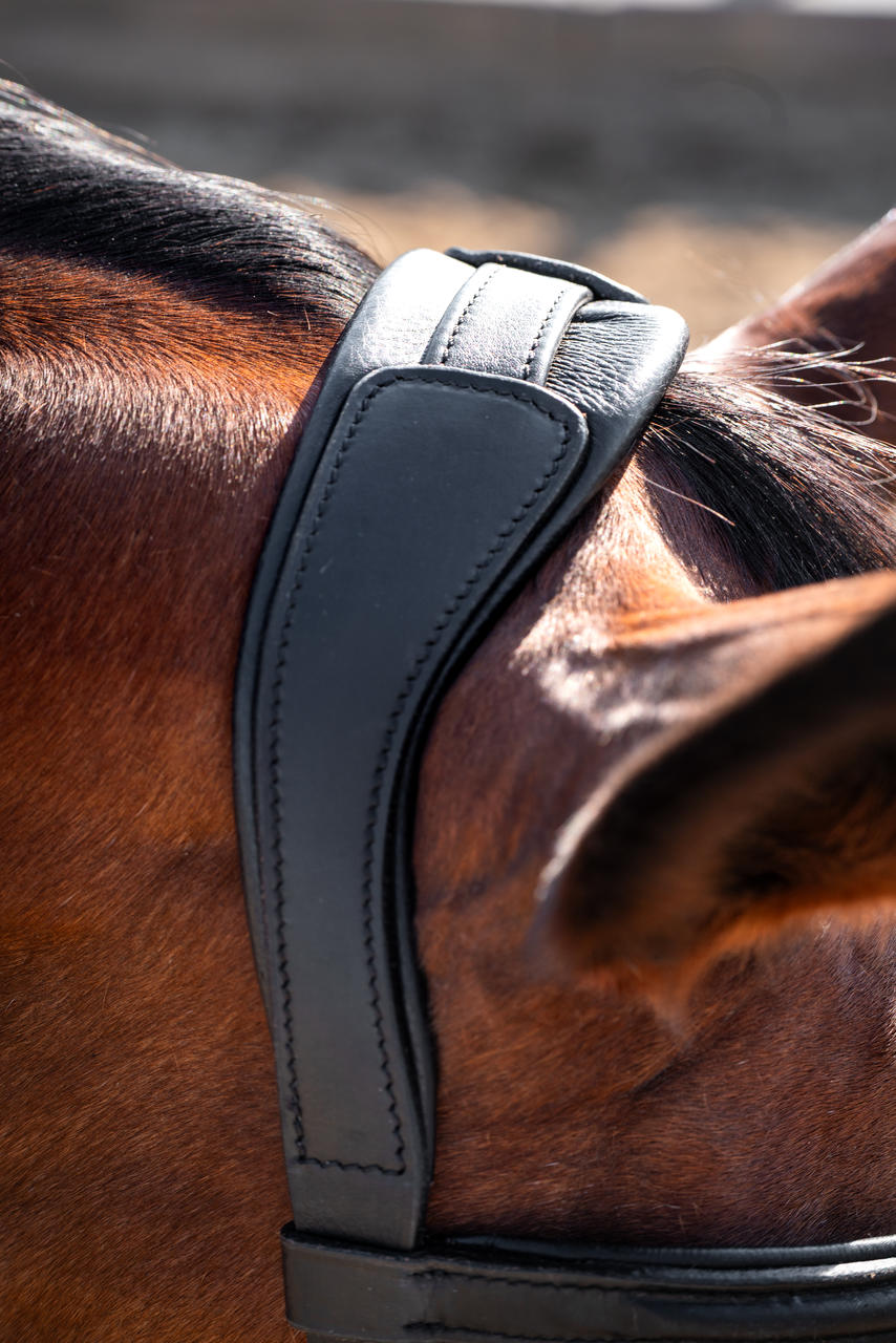 Waldhausen Lederkappzaum ANATOMIC