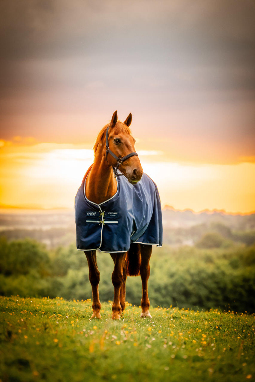 Horseware Amigo Ripstop 900D Pony Turnout 100g